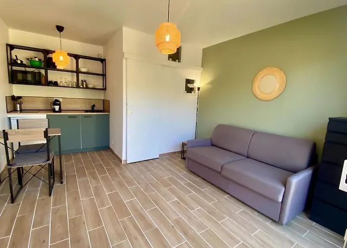 Avec Terrasse Apartament *